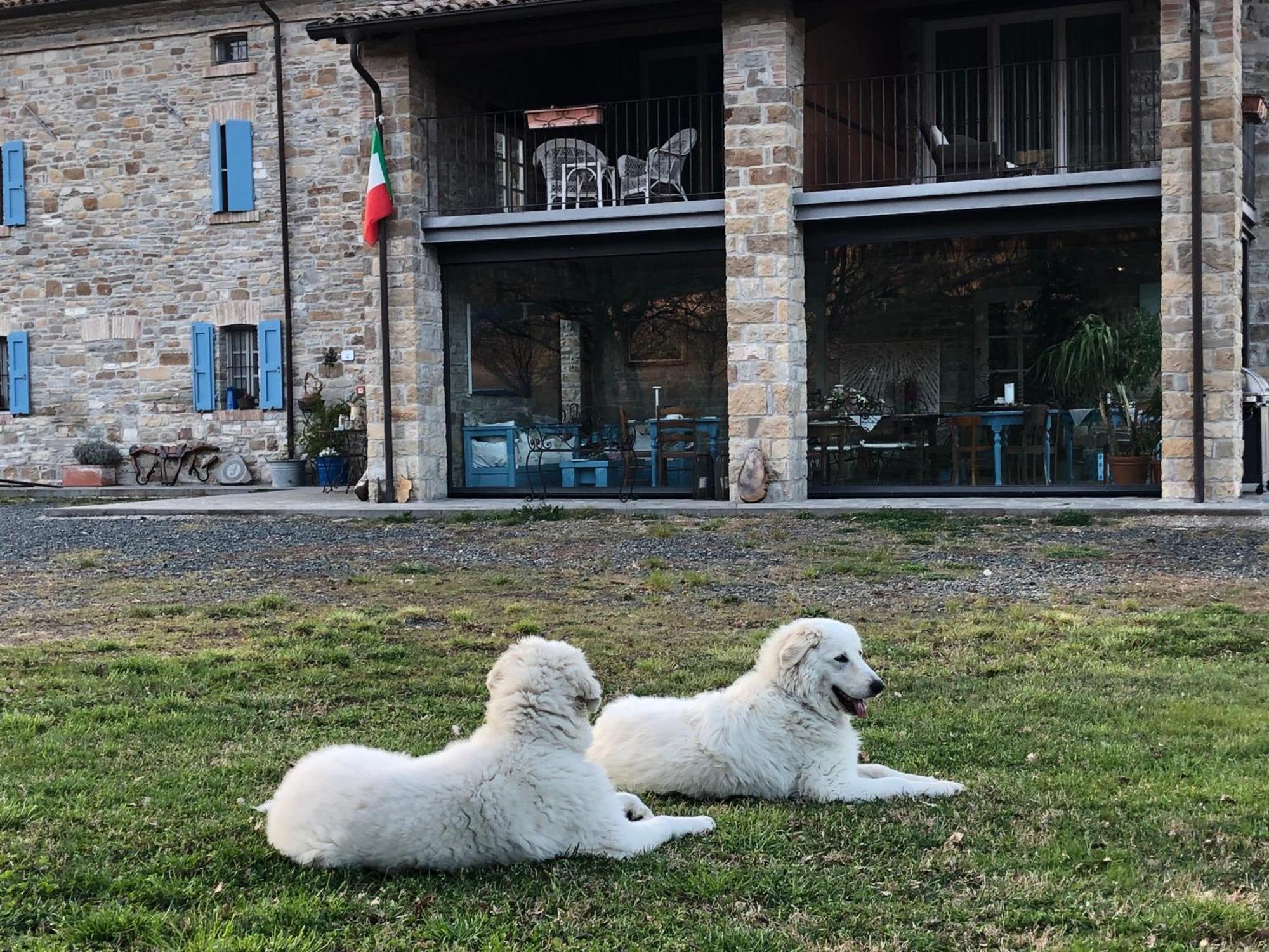 La Locanda Nel Vento Calestano 외부 사진
