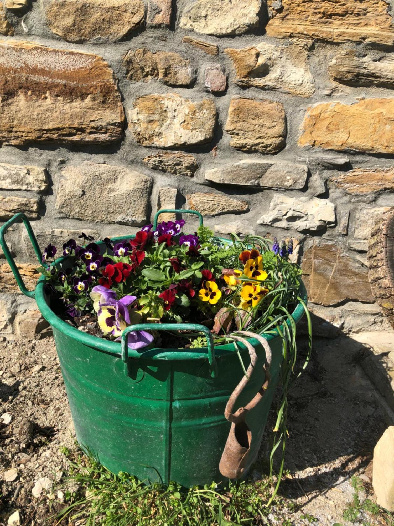 La Locanda Nel Vento Calestano 외부 사진