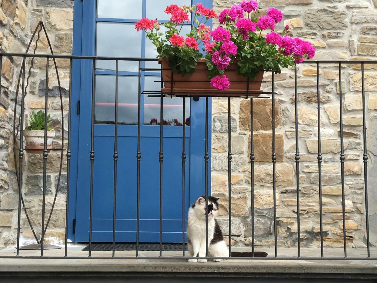 La Locanda Nel Vento Calestano 외부 사진
