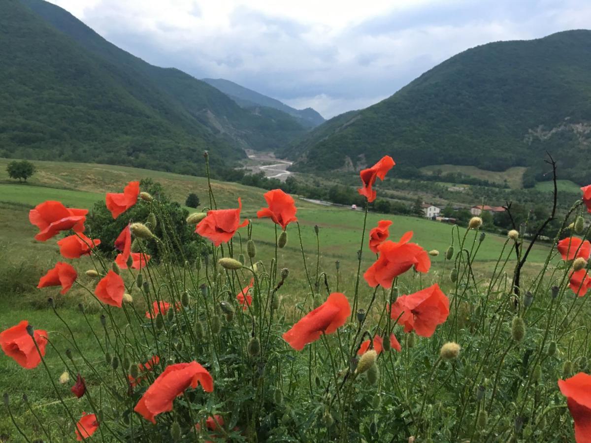 La Locanda Nel Vento Calestano 외부 사진