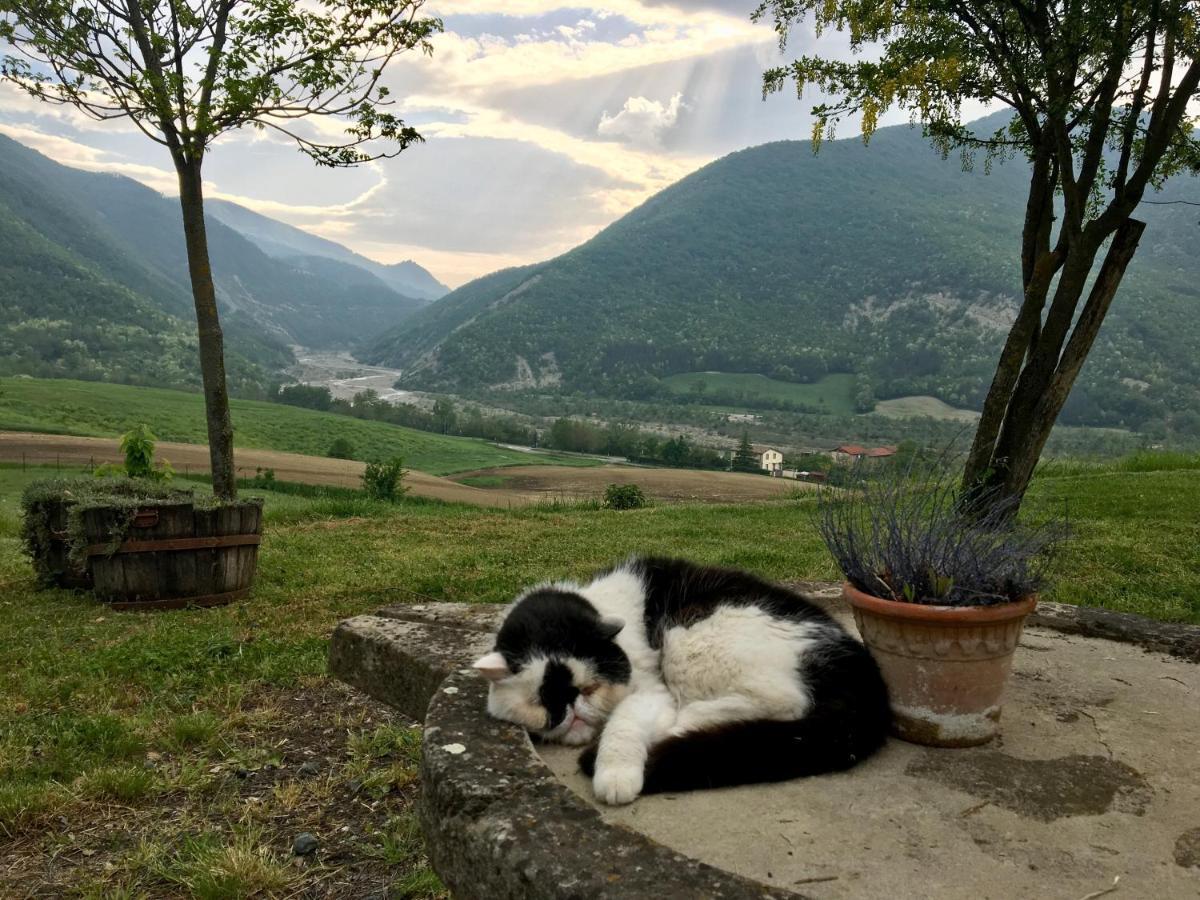 La Locanda Nel Vento Calestano 외부 사진